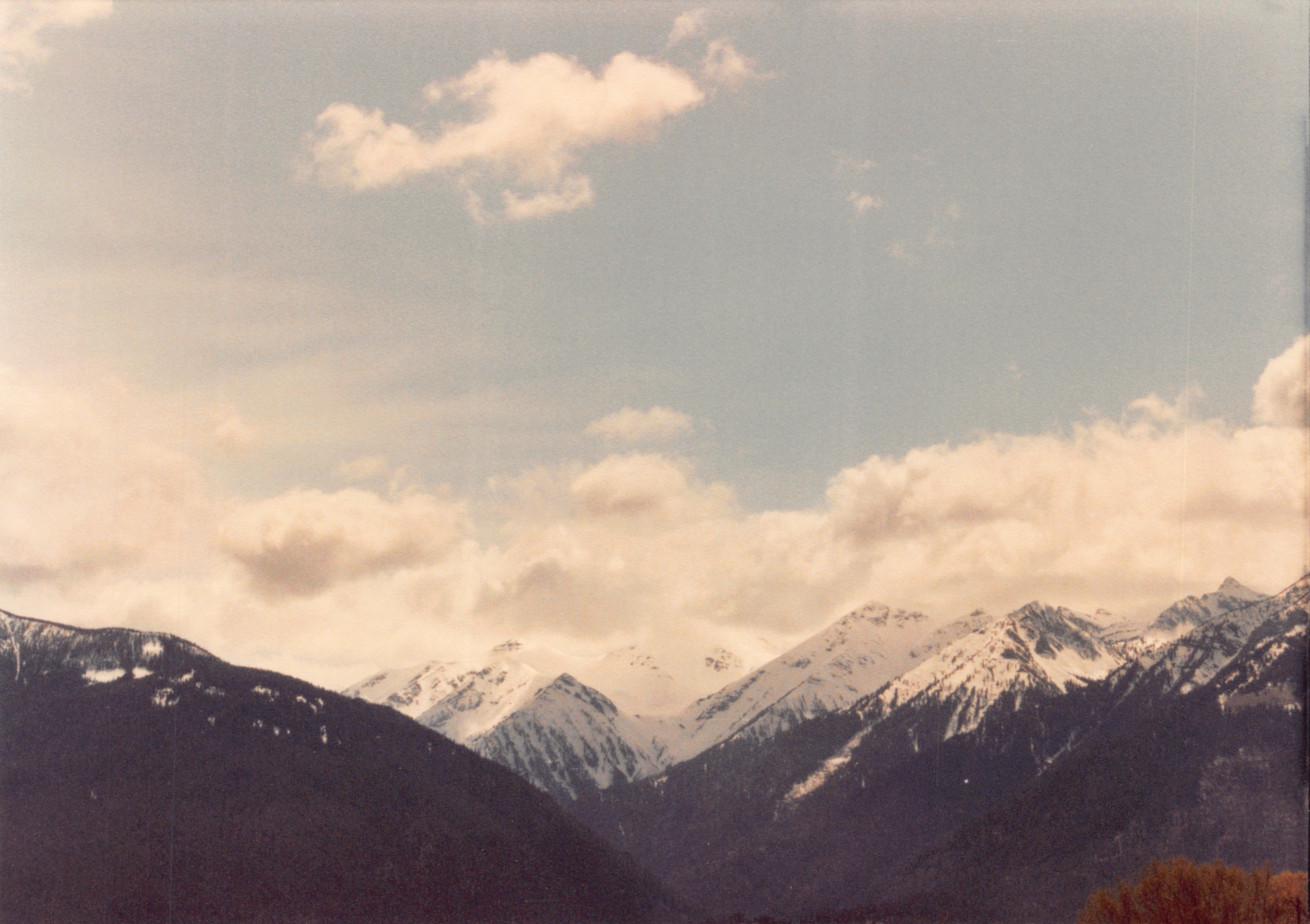 1985_Part 2_01_023.jpg